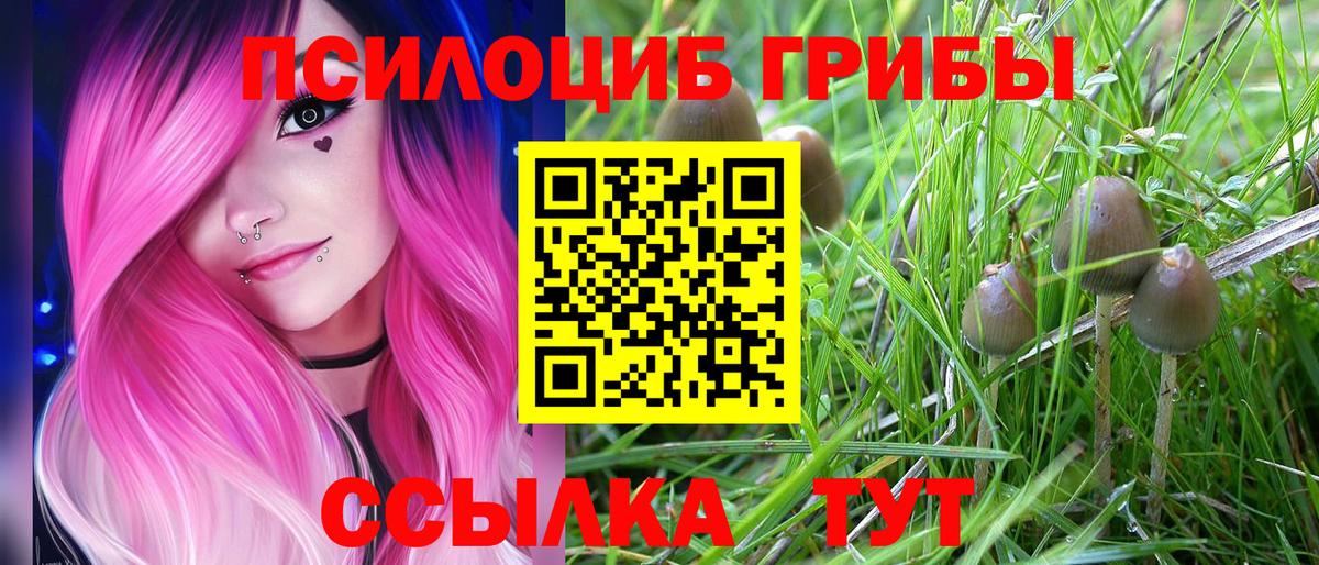 Псилоцибиновые грибы мицелий Алушта